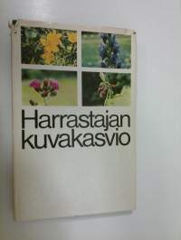 Harrastajan kuvakasvio