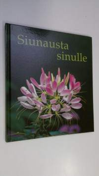 Siunausta sinulle