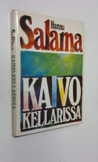 Kaivo kellarissa