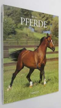 Pferde