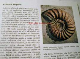 Evoluutio   Moduli karttuvaa tietoa