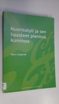 Nuorisotyö ja sen haasteet pienissä kunnissa : laadullinen tutkimus nuoriso-ohjaajien ja nuorisotyöstä vastaavien työntekijöiden työstä sekä kunnallisen nuorisoty...