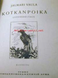 Kotkanpoika