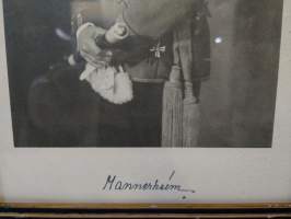Mannerheimin muotokuva