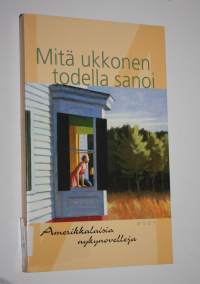 Mitä ukkonen todella sanoi : amerikkalaisia nykynovelleja