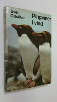 Pingviner i vind