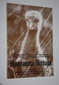 Harrasta lintuja