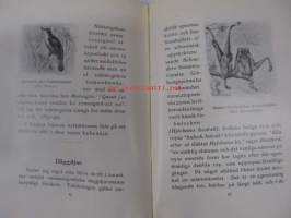 Naturljud och Djurnamn. En onomatopoetisk studie