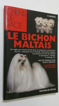 Le bichon maltais