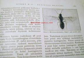 Valo    1928  nr 20  