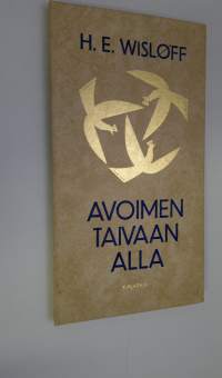 Avoimen taivaan alla