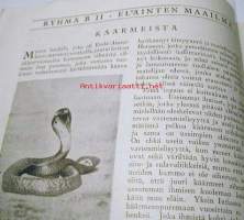 Valo   vihko  nr 4