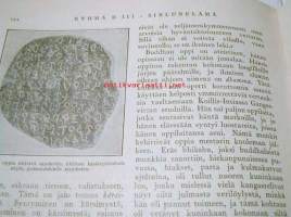 Valo   vihko  nr 16