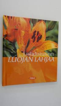 Lohdutus on Luojan lahjaa