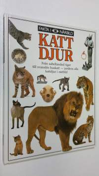 Kattdjur