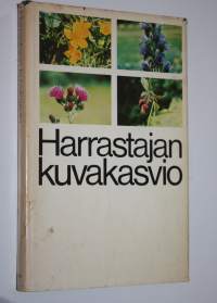 Harrastajan kuvakasvio