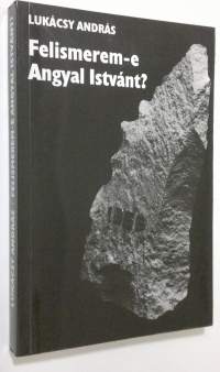 Felismerem-e Angyal Istvant? : Levelek fianak, Nemetorszagba