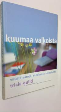 Kuumaa valkoista : viileitä värejä, modernia sisustusta