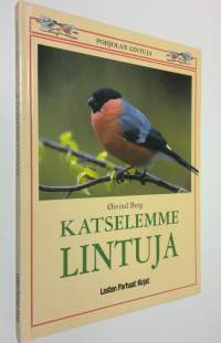 Katselemme lintuja