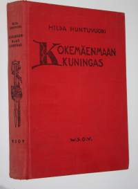 Kokemäenmaan kuningas : historiallinen romaani