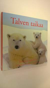 Talven taikaa : jouluisia ajatuksia