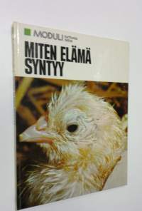 Miten elämä syntyy