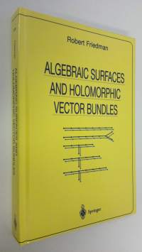 Algebraic Surfaces and Holomorphic Vector Bundles (UUDENVEROINEN)