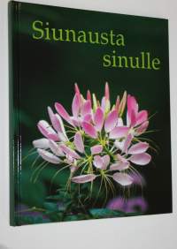 Siunausta sinulle