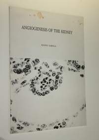Angiogenesis of the kidney