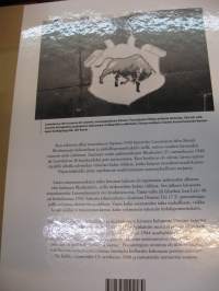 Dornier-laivue – Lentolaivue 46 sodassa