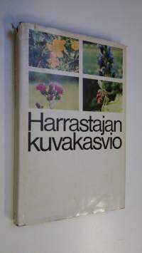 Harrastajan kuvakasvio