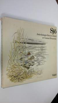 Sjö : Antecknigar från en strand