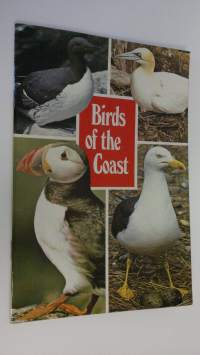 Birds of the Coast - Sea Birds