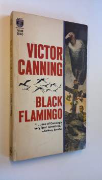 Black Flamingo