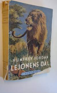 Lejonens dal