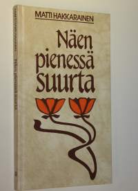 Näen pienessä suurta