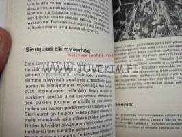 100 sientä