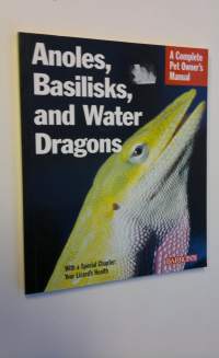 Anoles, Basilisks, and Water Dragons