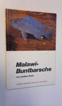 Malawi-Buntbarsche