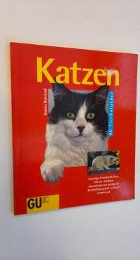 Katzen