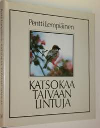 Katsokaa taivaan lintuja