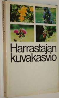 Harrastajan kuvakasvio