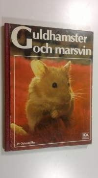 Guldhamster och marsvin