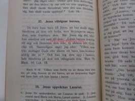 Biblisk historia till folkundervisningens tjänst