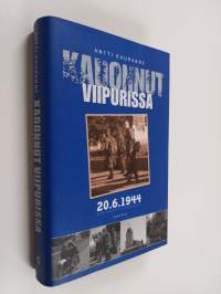 Kadonnut Viipurissa 20.6.1944 : dokumenttiromaani