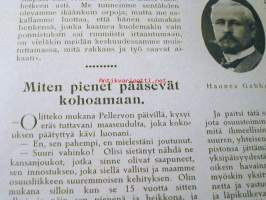 Naisen ääni   1914  nr  13