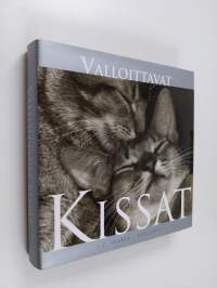 Valloittavat kissat