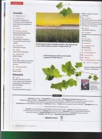 Suomen Kuvalehti 19.06.2014 N:o 25-26. 1. Maailmansota 1914: Mistä sai alkunsa?. Katso muut aiheet kuvista!
