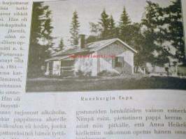 Naisen ääni  1914  nr 35