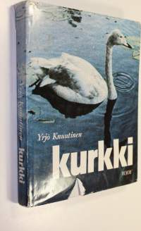 Kurkki